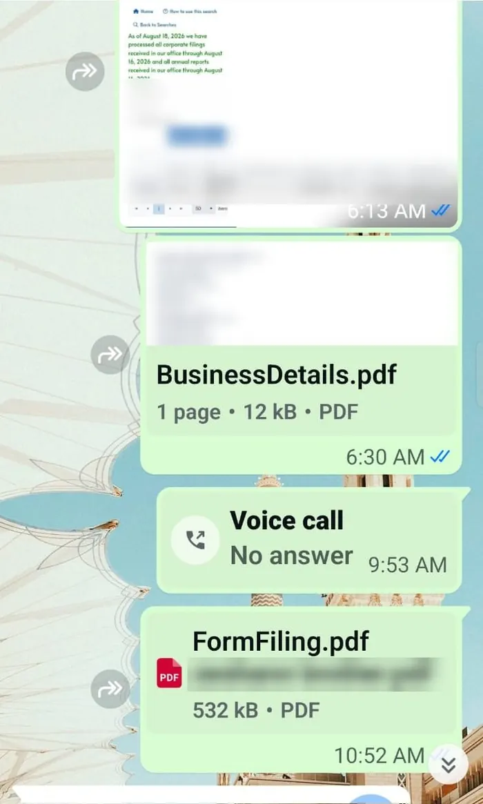 Tennessee LLC filing and business details sent to a client on WhatsApp